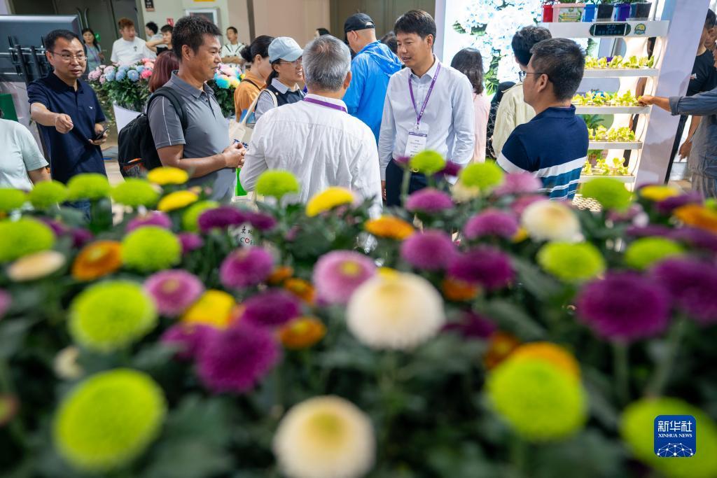 足球投资平台开户